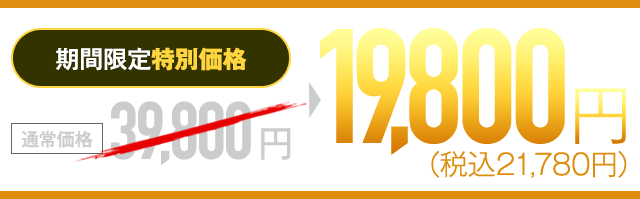 期間限定特別価格